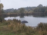 IMG_20251012_082938876